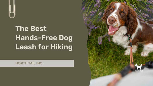 The Best Hands-Free Dog Leash for Hiking: Adventure Starts Here