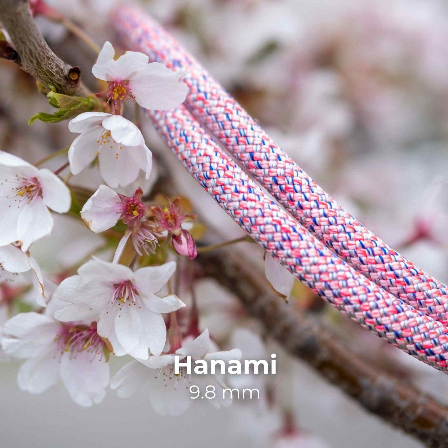 Hanami 9.8mm climbing rope slip collar by North Tail — handmade in Ontario using genuine UIAA certified rope in blue with hints of green, pink, and white. Durable, adjustable, and perfect for training or everyday walks with active dogs.