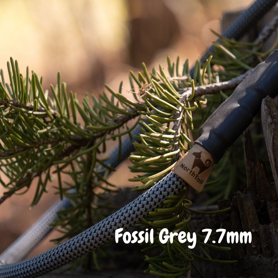 Fossil Grey 7.7mm climbing rope dog leash by North Tail — handmade in Ontario with genuine UIAA certified rope and a swivel auto-locking carabiner. Lightweight, durable, and perfect for everyday walks and outdoor adventures.