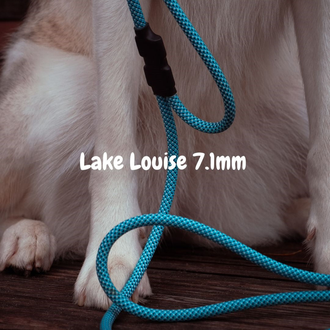 7.1mm blue climbing rope dog leash with traffic handle by North Tail — handmade in Ontario using genuine UIAA certified rope and a swivel auto-locking carabiner. Features an extra handle for close control during walks or in crowded areas.
