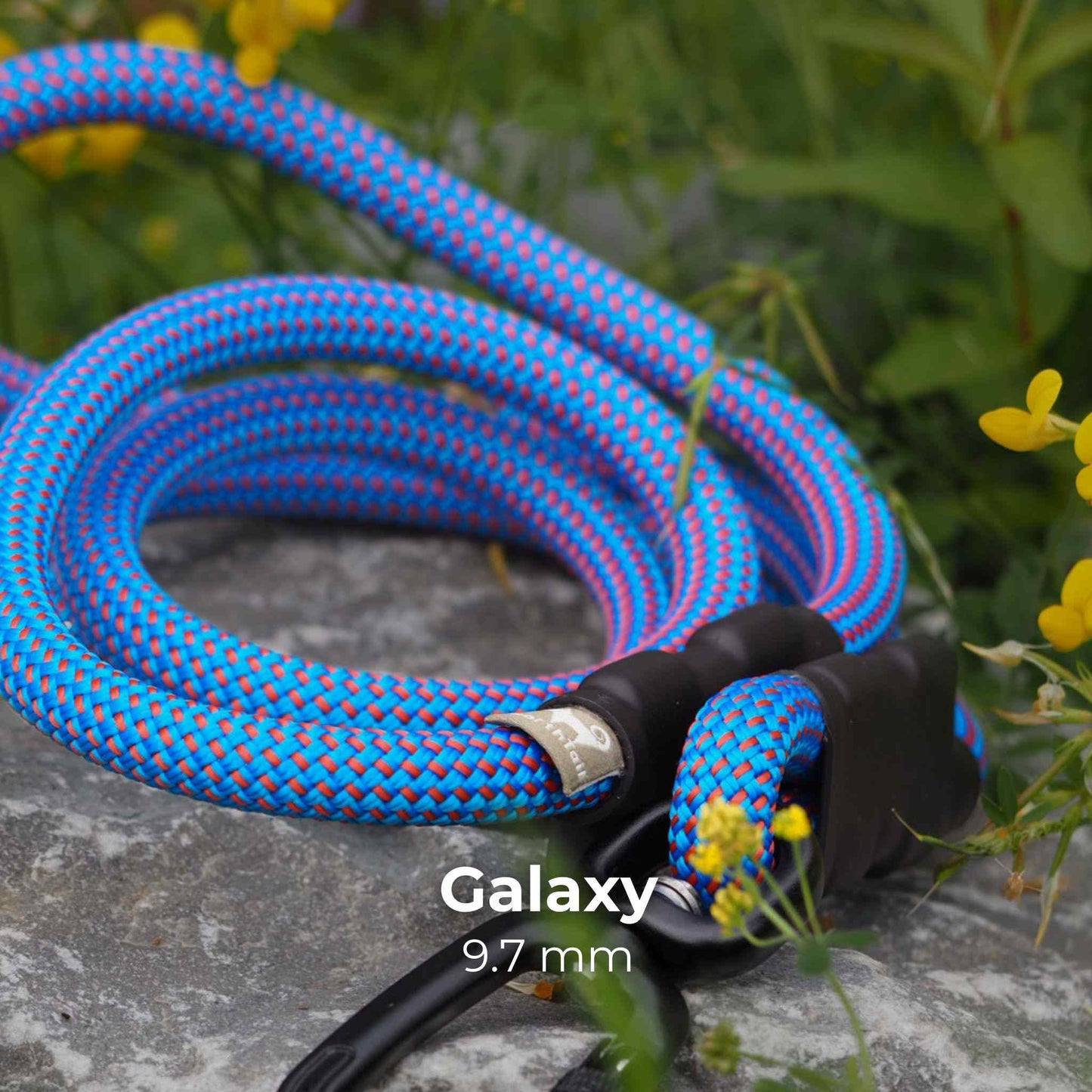 Climbing rope dog leash by North Tail — handmade in Ontario using genuine UIAA certified rope in a neutral beige color. Durable and perfect for everyday walks and outdoor adventures.