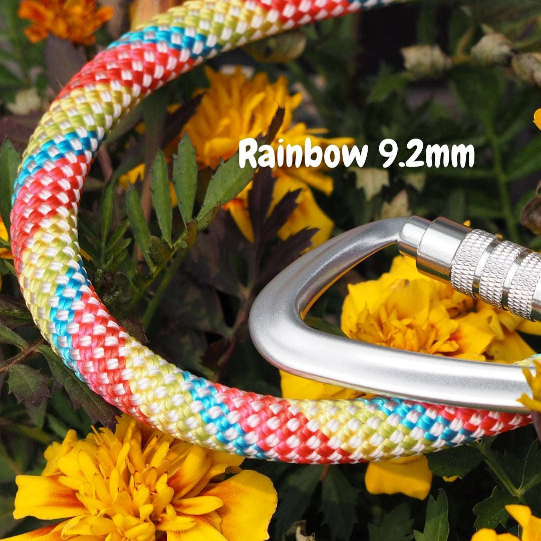 Rainbow climbing rope dog leash by North Tail — handmade in Ontario with genuine UIAA certified rope and an auto-locking swivel carabiner. Durable and colorful leash designed for active dogs and outdoor adventures.