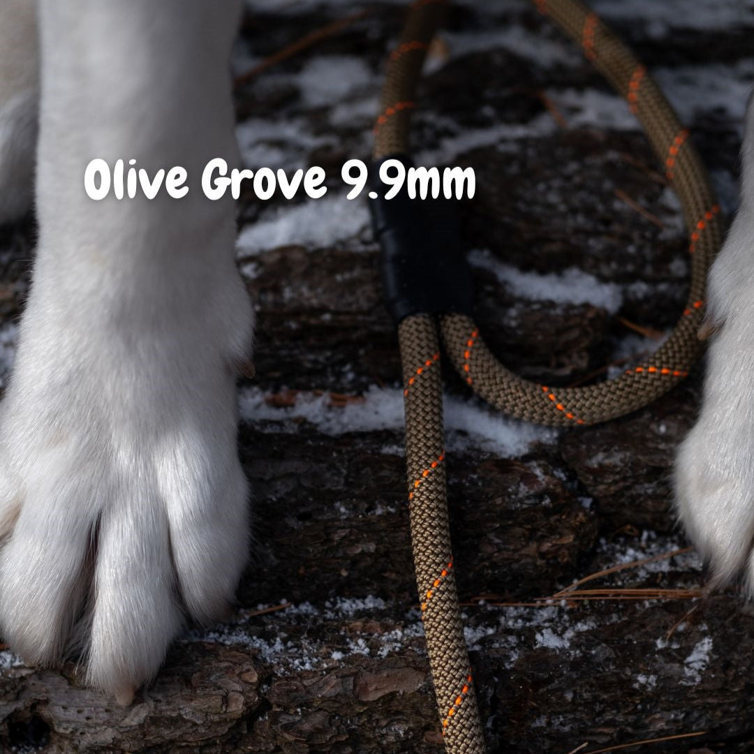 Olive Grove 9.9mm climbing rope dog leash by North Tail — forest green with bright orange stripes, laid on wood next to a husky’s paw. Handmade in Ontario using genuine UIAA certified rope. Durable and perfect for outdoor adventures.