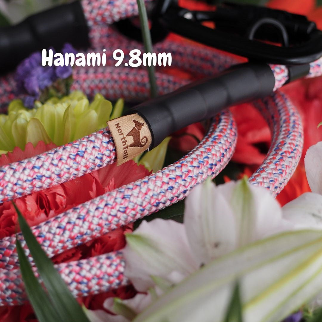 Hanami 9.8mm climbing rope dog leash by North Tail — handmade in Ontario using genuine UIAA certified rope in soft light pink. Durable and designed for daily walks and outdoor adventures.