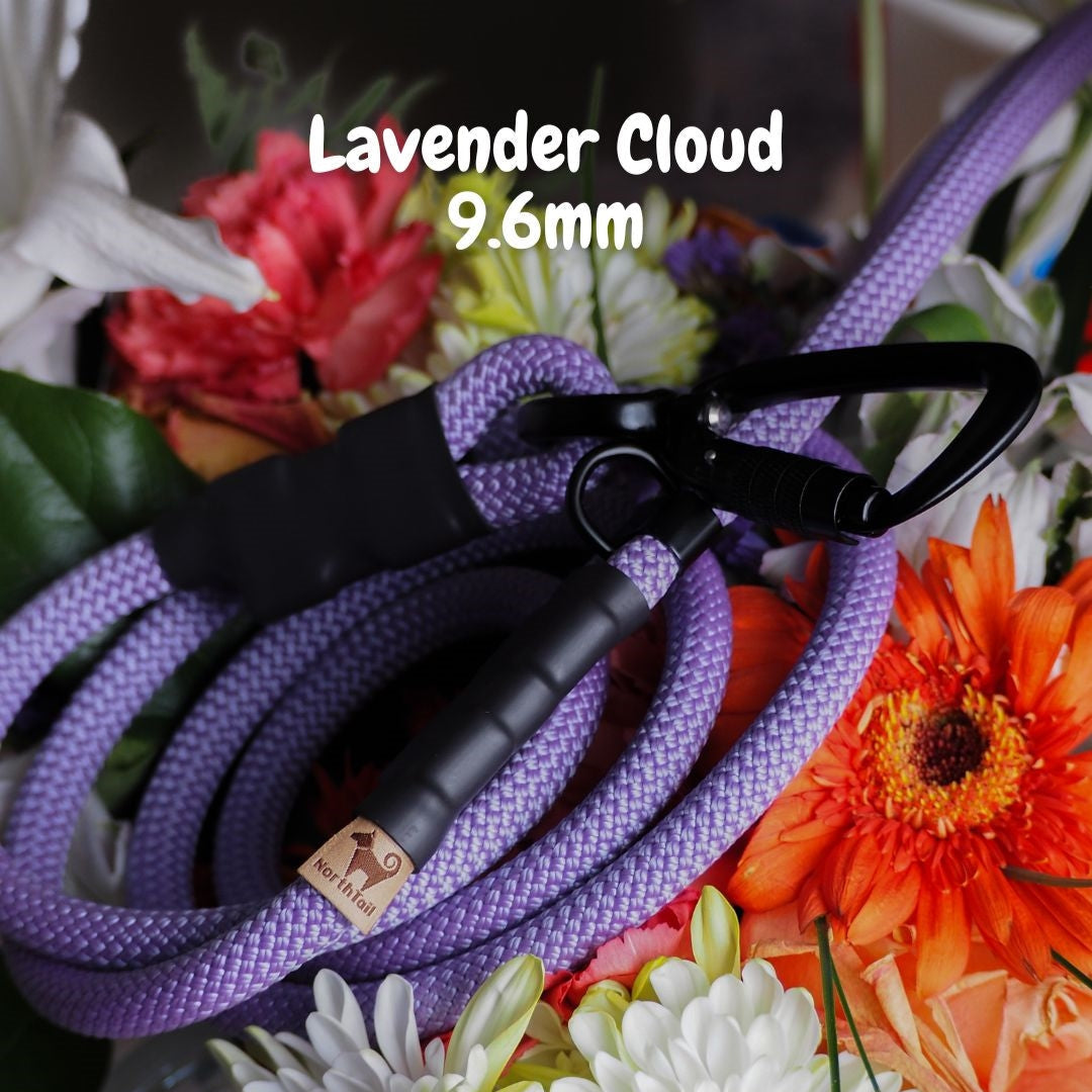 Lavender Cloud 9.6mm climbing rope dog leash by North Tail — handmade in Ontario using genuine UIAA certified rope in light purple lavender color. Durable and perfect for daily walks and outdoor adventures.