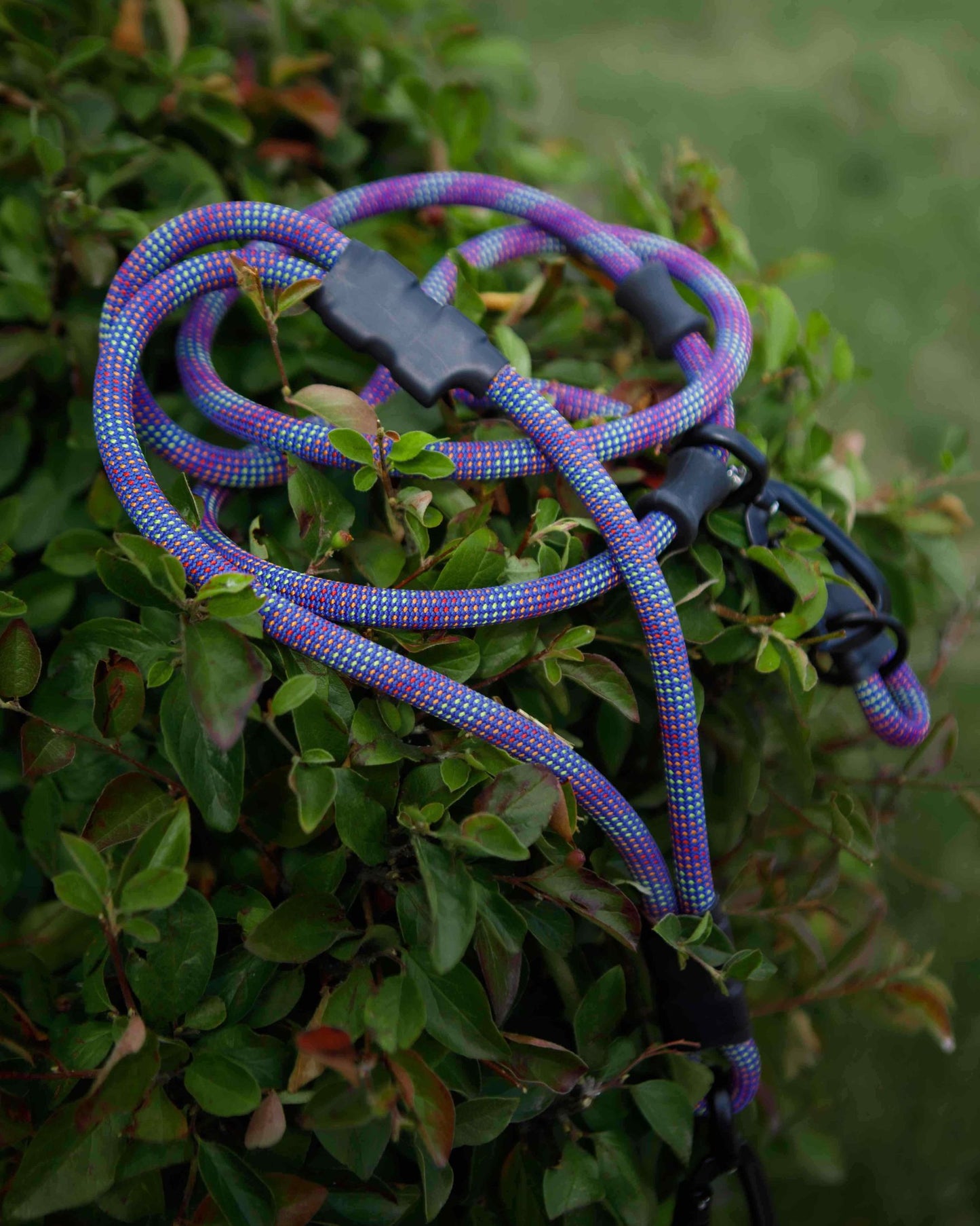 The Summit Adjustable Hands-Free Leash