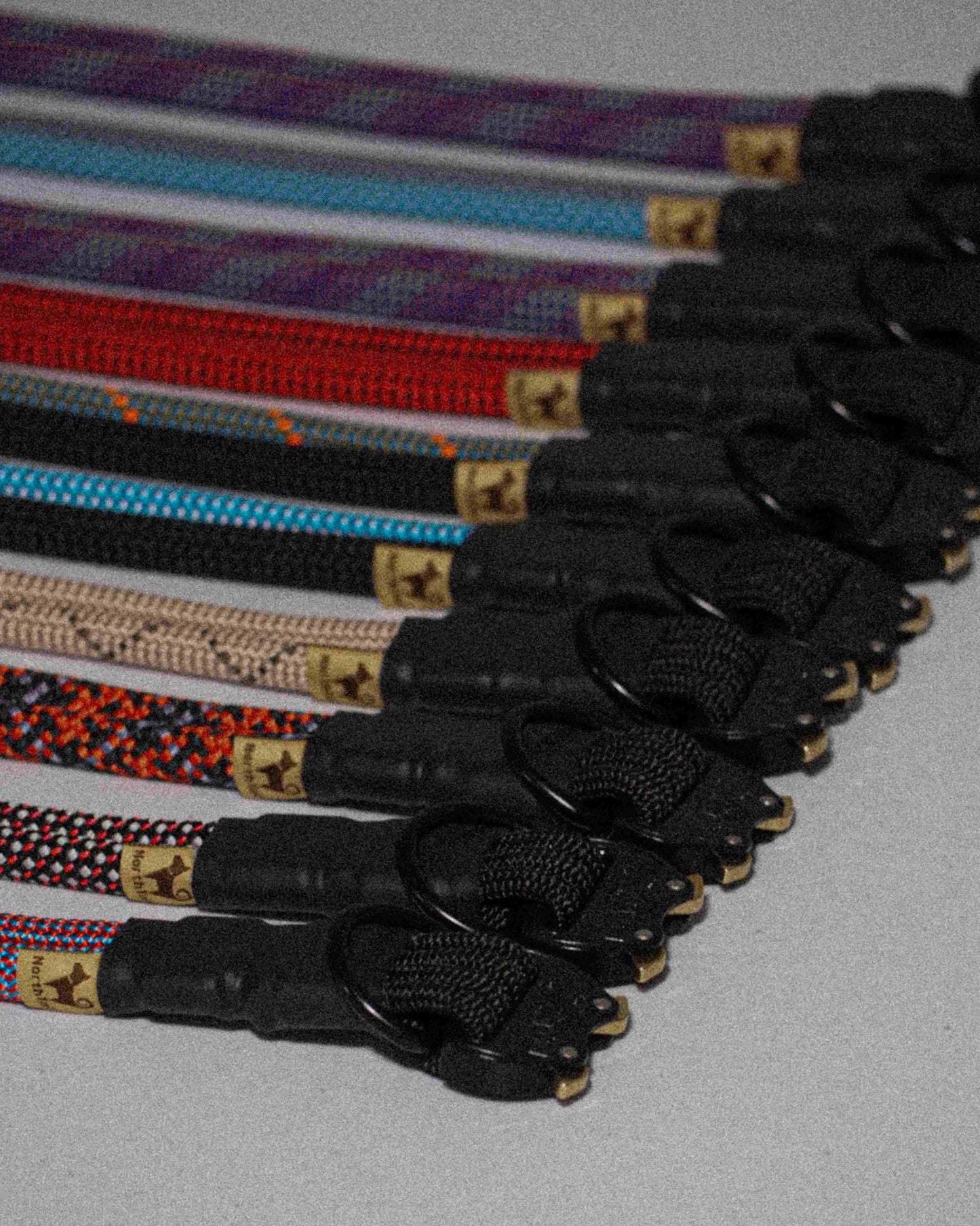 Variety of Nomadic fixed-style dog collar by North Tail, handmade in Ontario using genuine UIAA certified climbing rope and lightweight COBRA buckle. Durable, secure, and designed for active dogs on walks, hikes, or outdoor adventures.