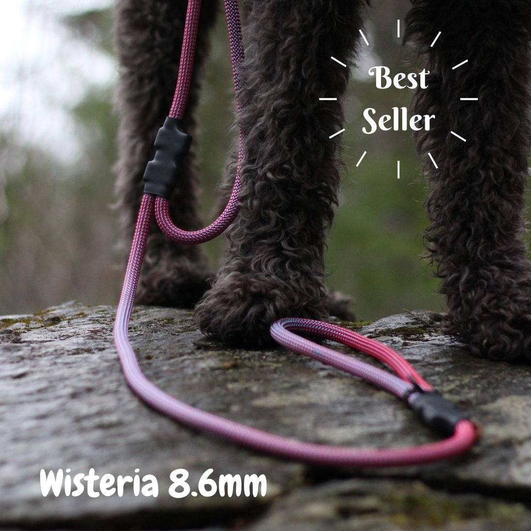 Poodle wearing Wisteria 8.6mm climbing rope dog leash with traffic handle by North Tail — best seller color-shifting rope, handmade in Ontario using genuine UIAA certified rope. Durable and designed for active dogs and outdoor adventures.