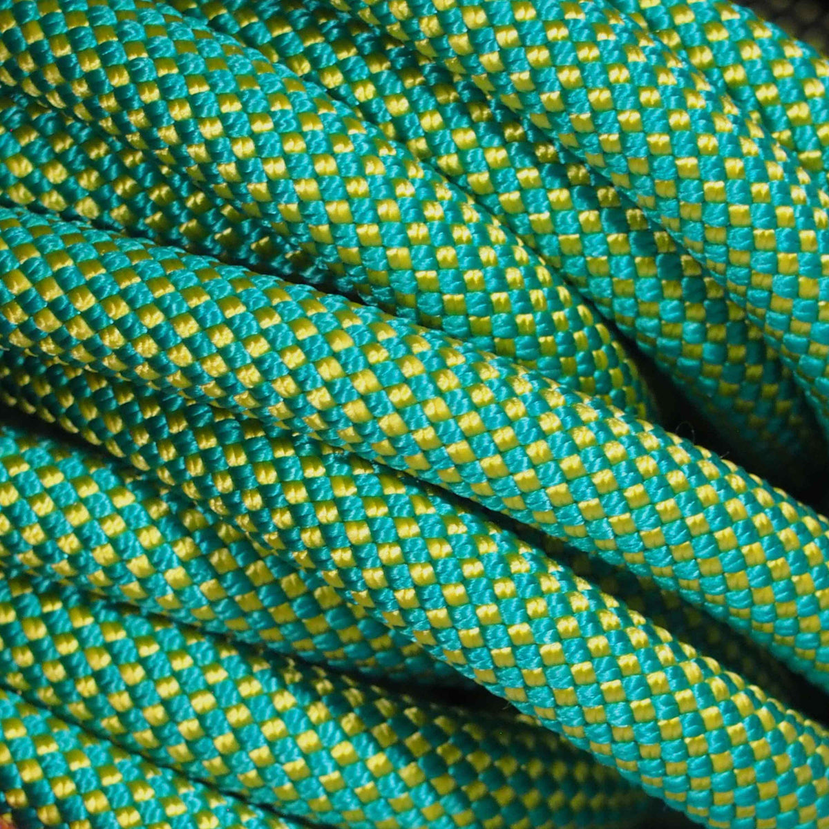 Green Meadows 9.2mm climbing rope dog leash by North Tail — handmade in Ontario with genuine UIAA certified rope and a swivel auto-locking carabiner. Durable and perfect for daily walks and outdoor adventures.