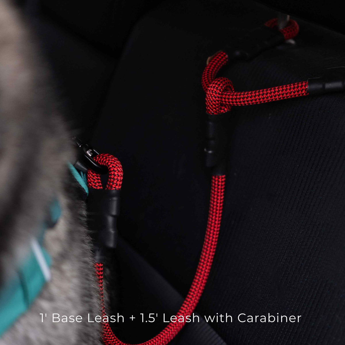 Waypoint | Car Headrest Attachment — Stationary Use Only