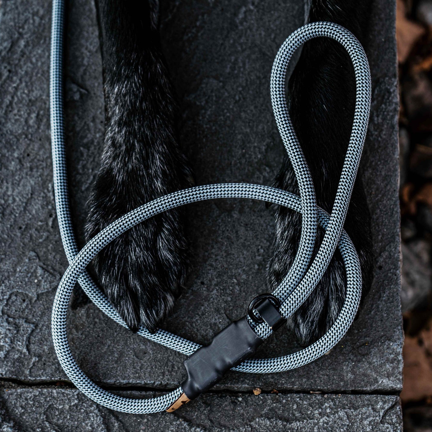The Sniff Walker North Tail Leash