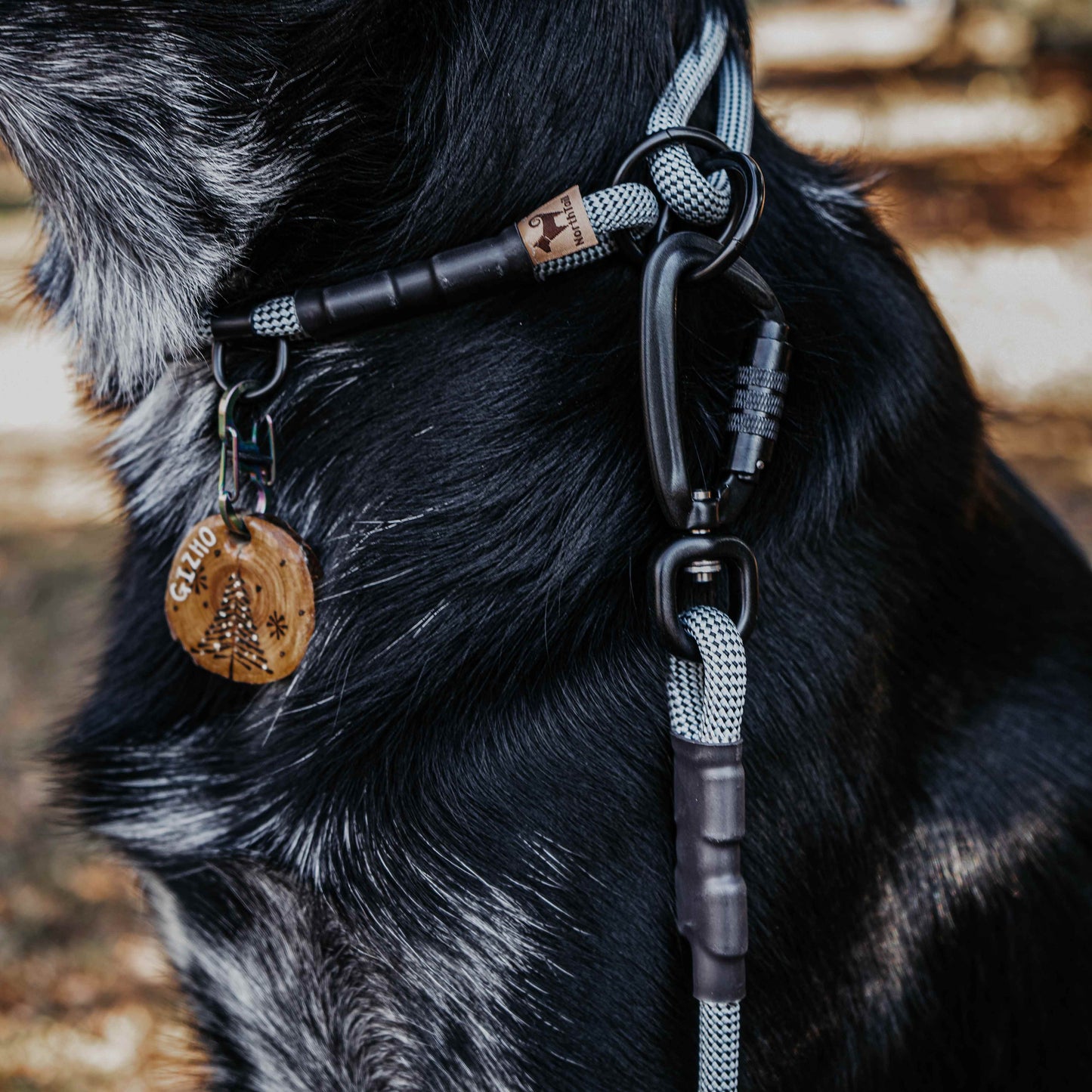 The Sniff Walker North Tail Leash