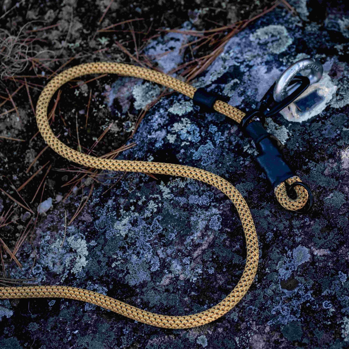 Leash secured using the adjustable loop, demonstrating its versatility.