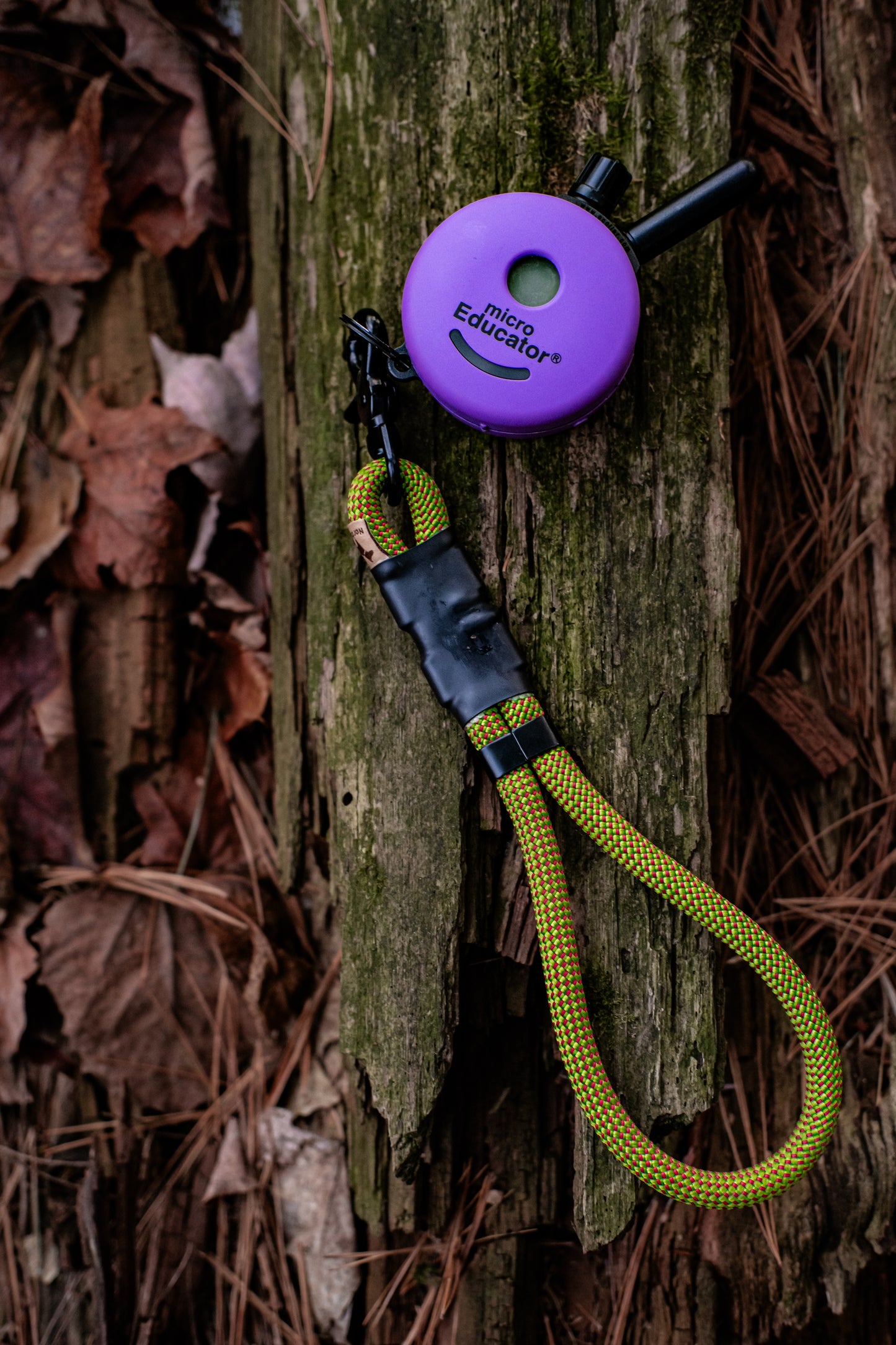 READY TO SHIP - The NT Slip Collar