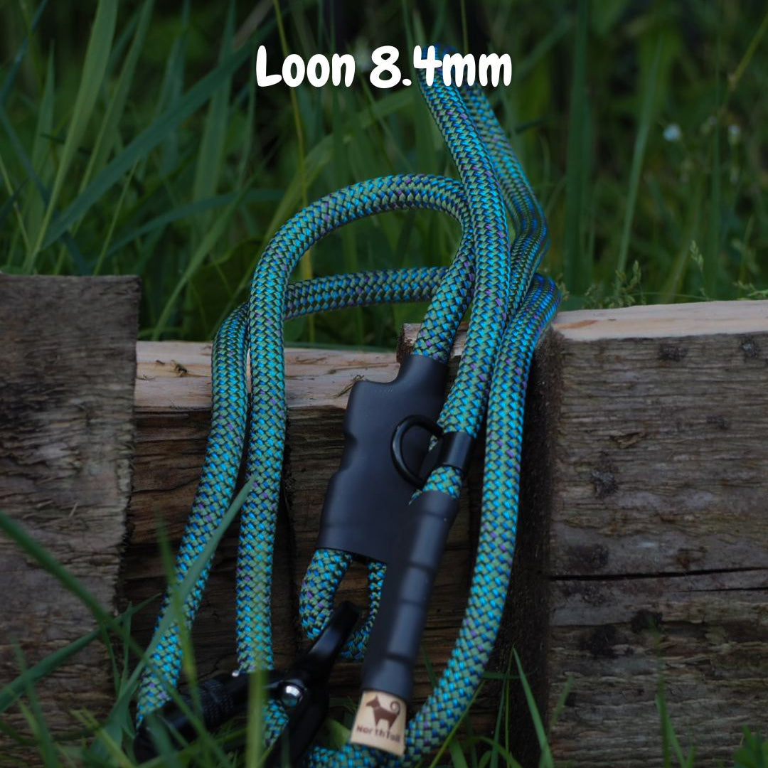 The Summit Adjustable Hands-Free Leash