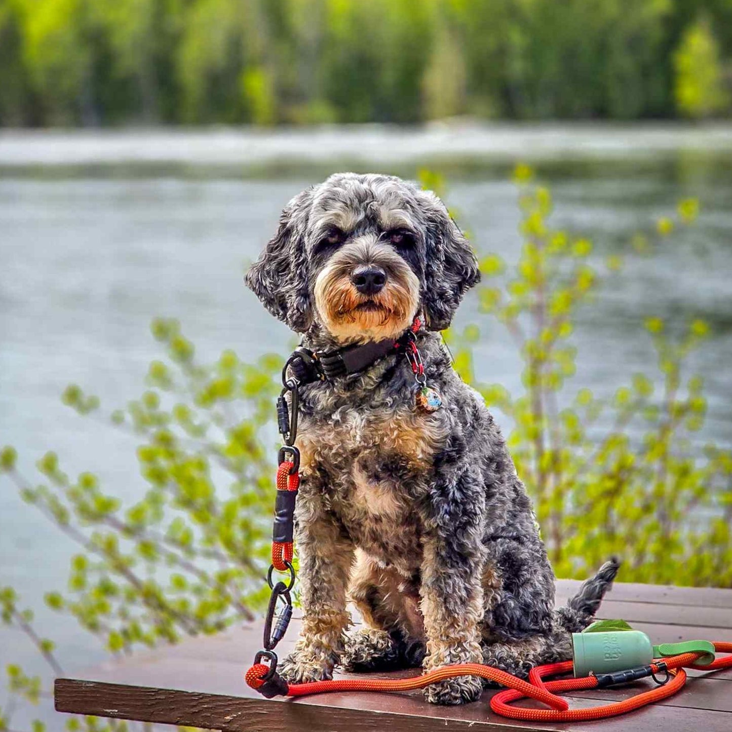 The Mini Wanderlust Leash