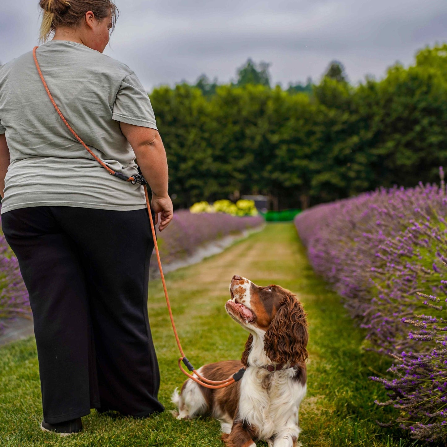 The Summit Adjustable Hands-Free Leash