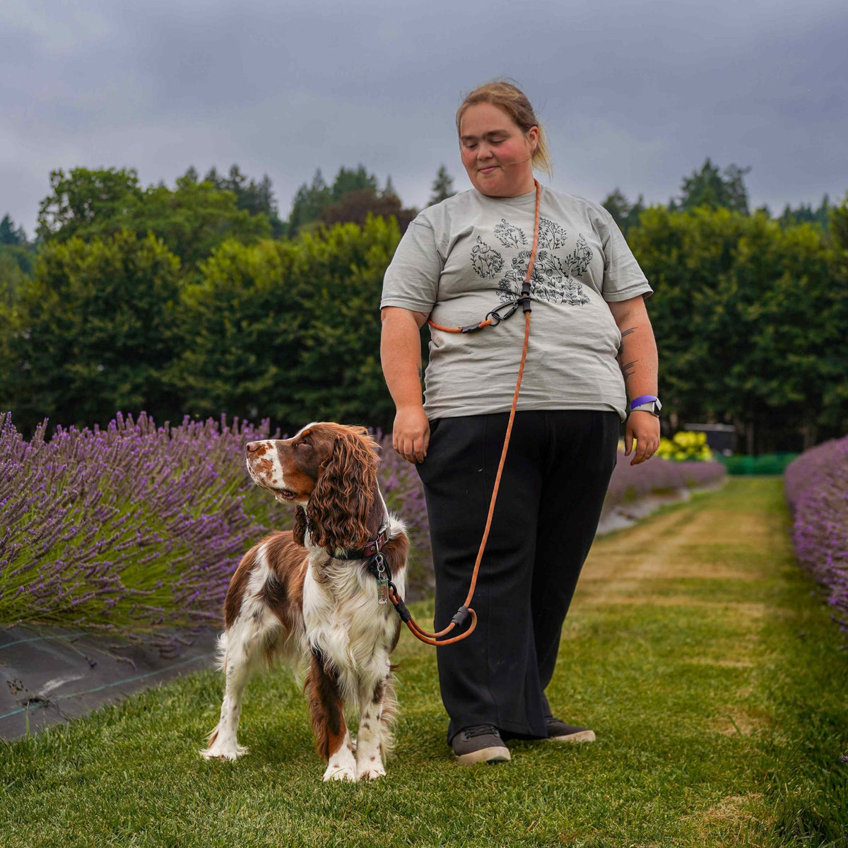 Roam Pro | Quick-Adjustable Hands-Free Leash with Built-In Traffic Handle
