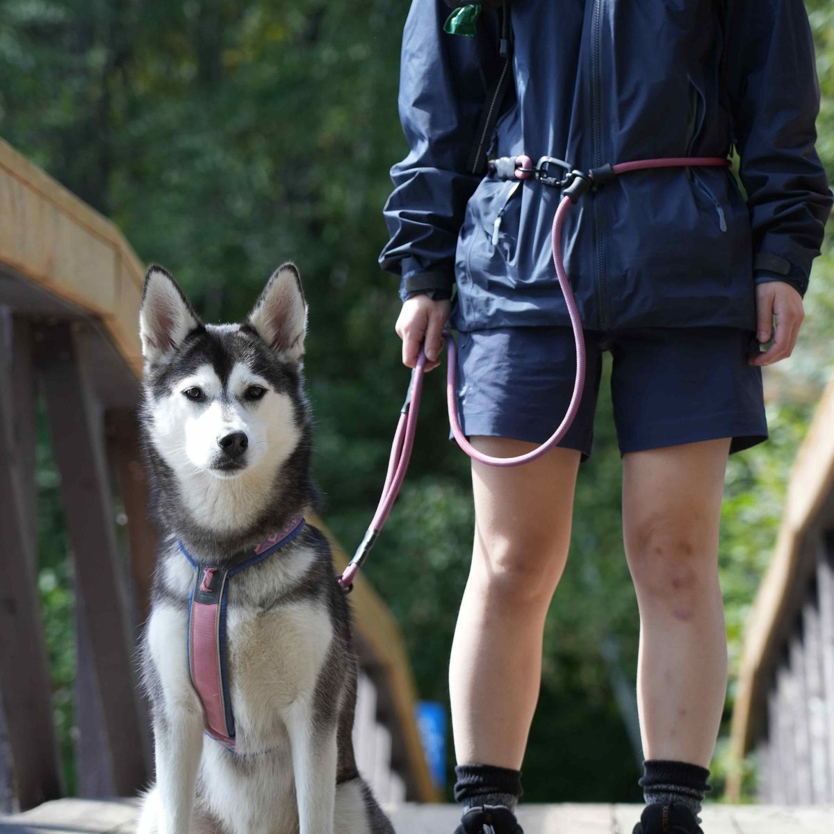 Roam Pro | Quick-Adjustable Hands-Free Leash with Built-In Traffic Handle