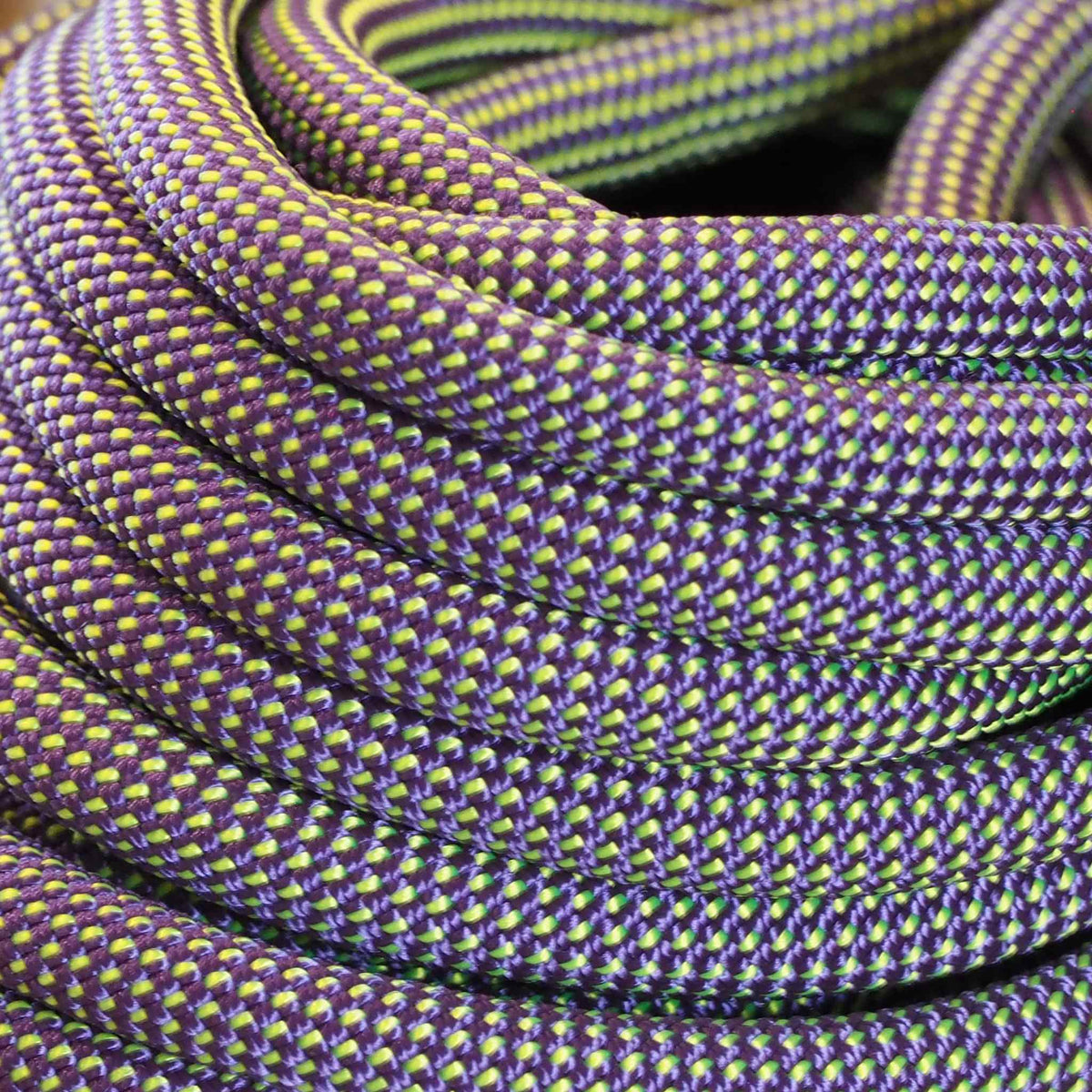 Branch | Double Dog Leash