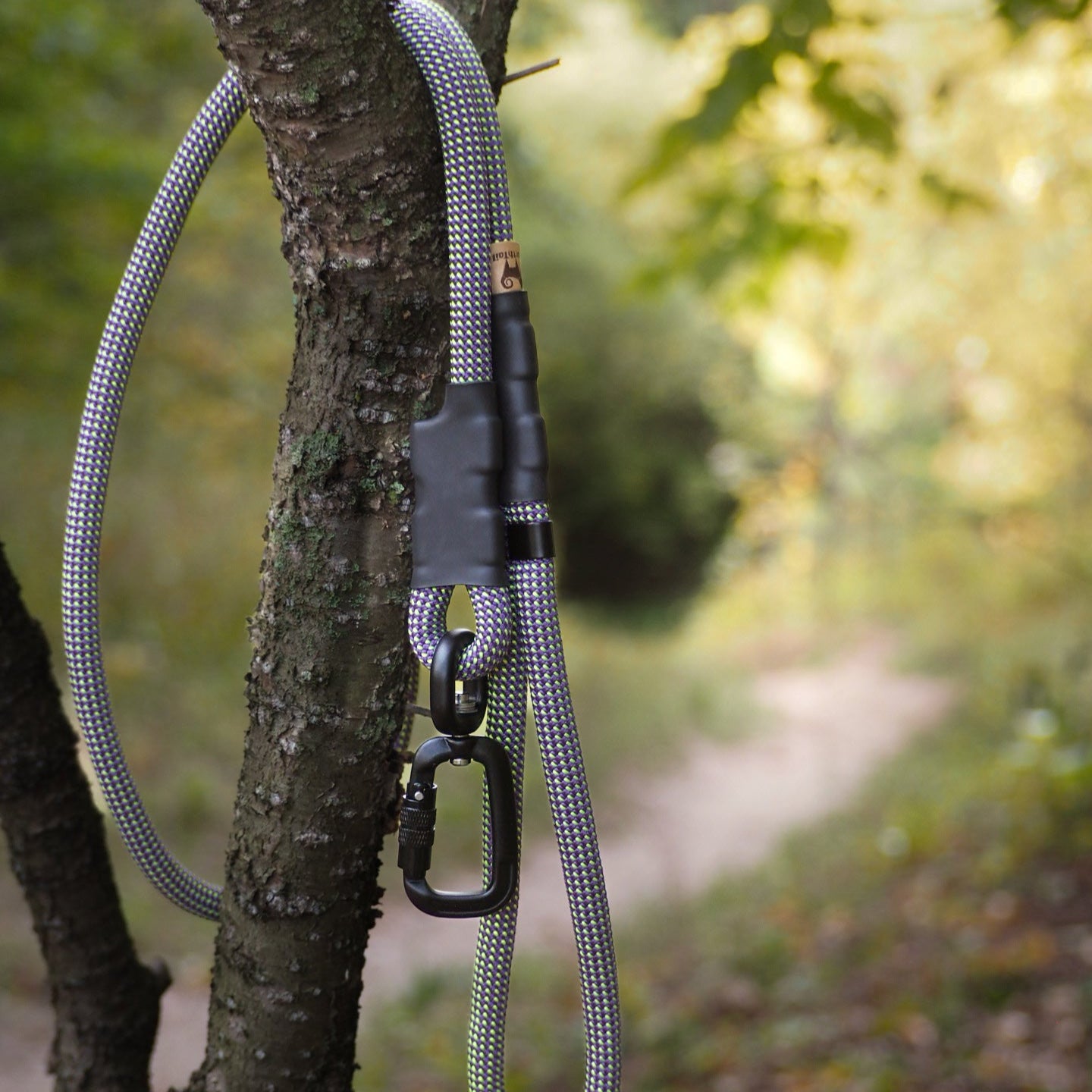 The Sniff Walker North Tail Leash