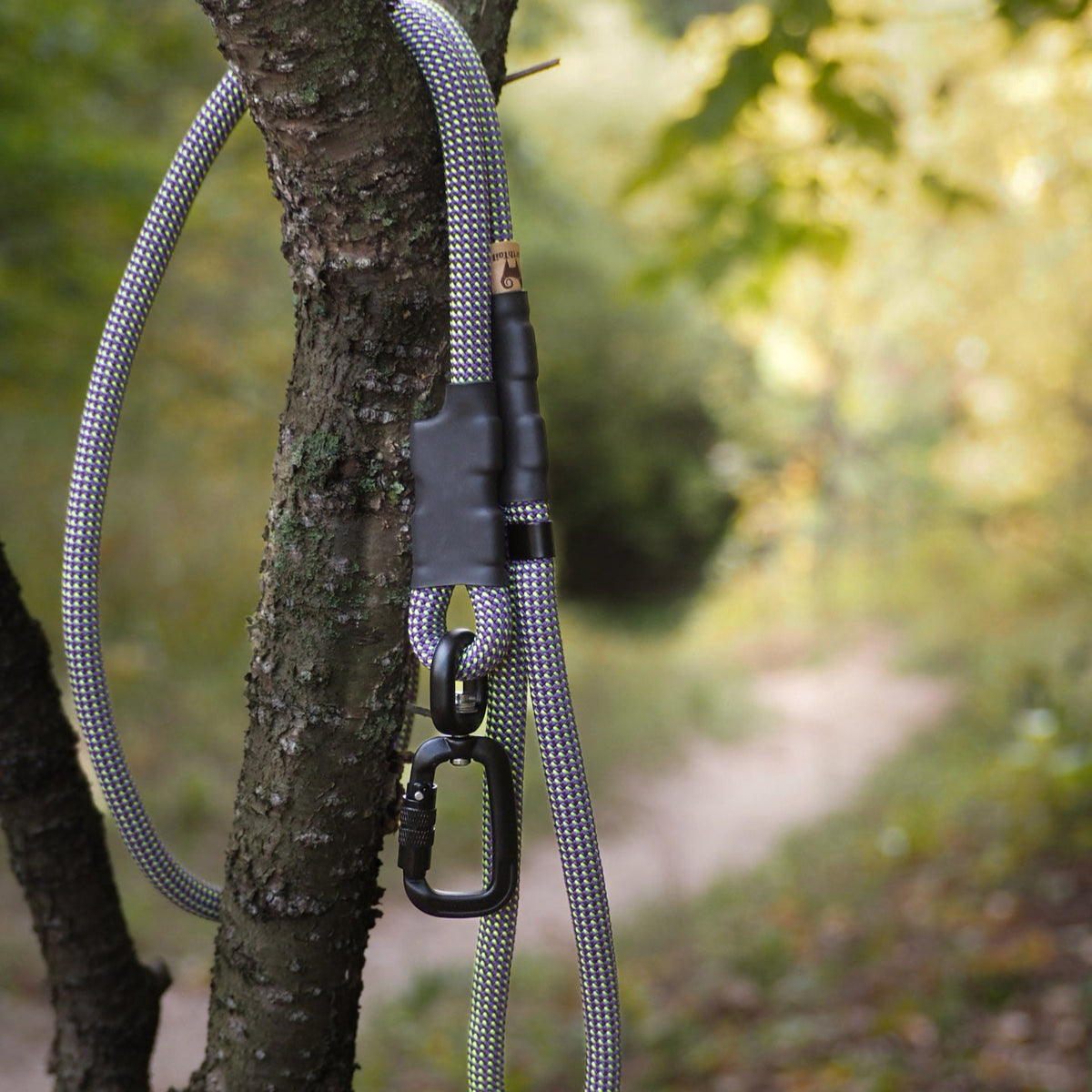 Sniff Walker | Basic Everyday Leash