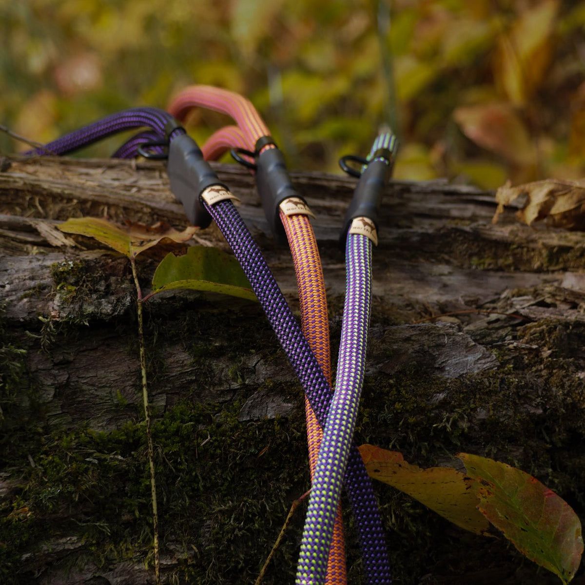 Sniff Walker | Basic Everyday Leash