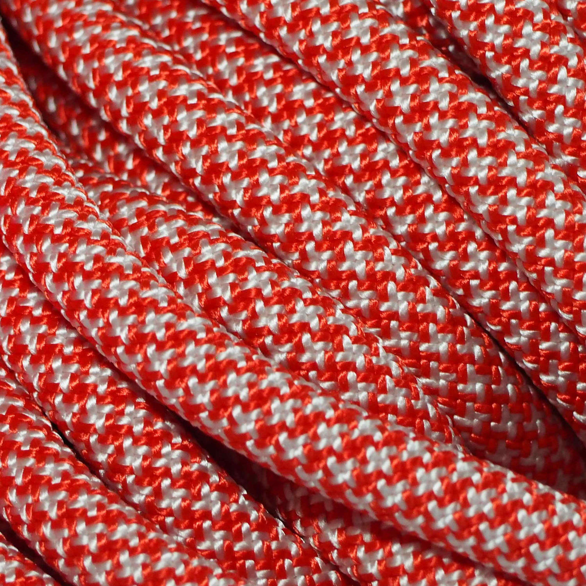 True North 9.8mm climbing rope dog leash by North Tail — handmade in Ontario using genuine UIAA certified rope. Durable and designed for active dogs and outdoor adventures.