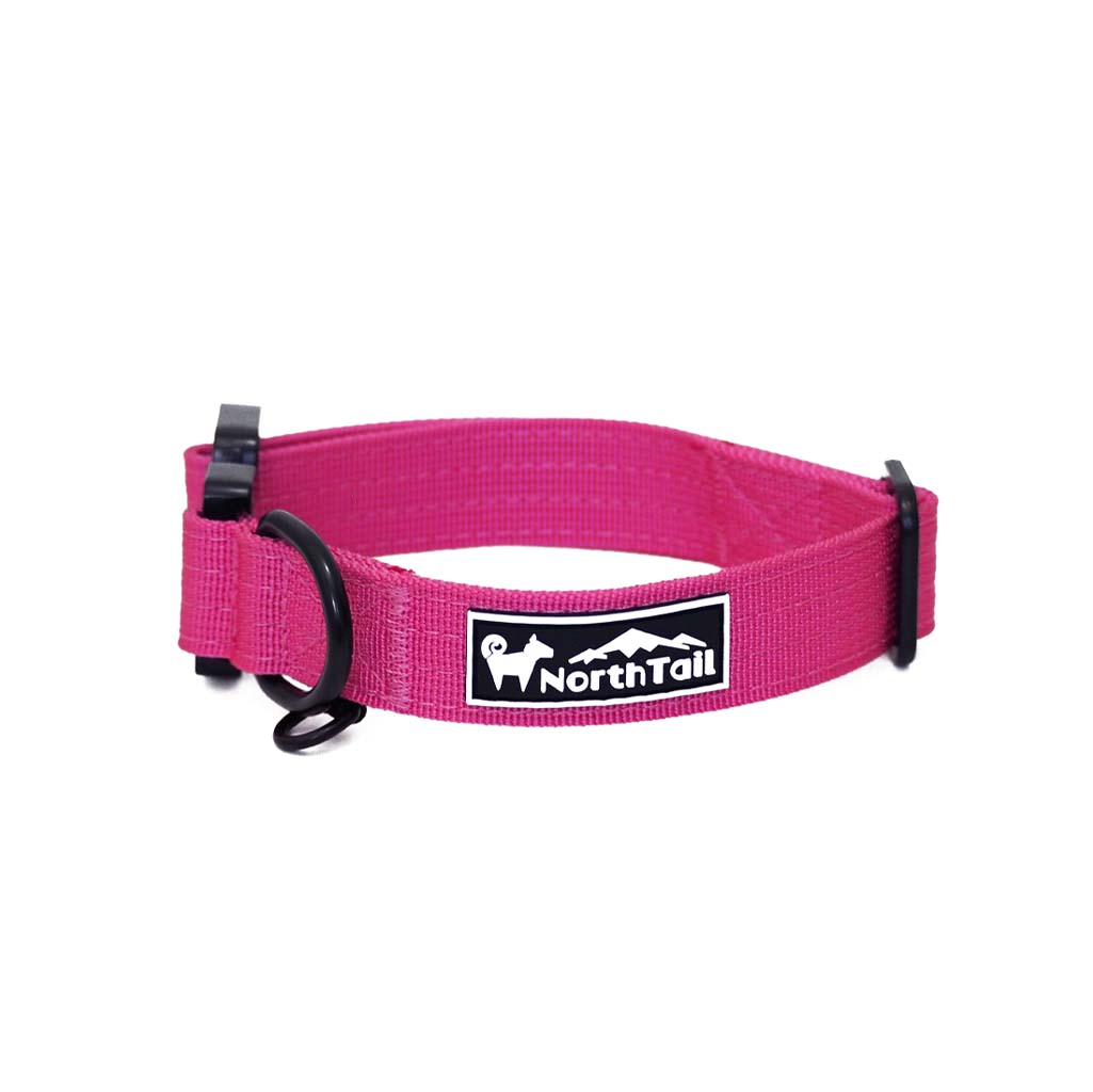 Cosmos Pink - 1" North Tail Collar