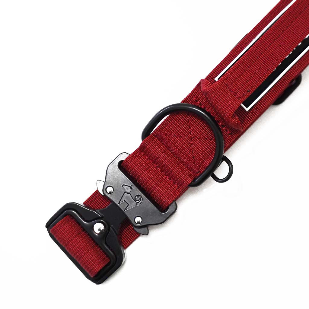 Red Maple - 1.5" North Tail Collar