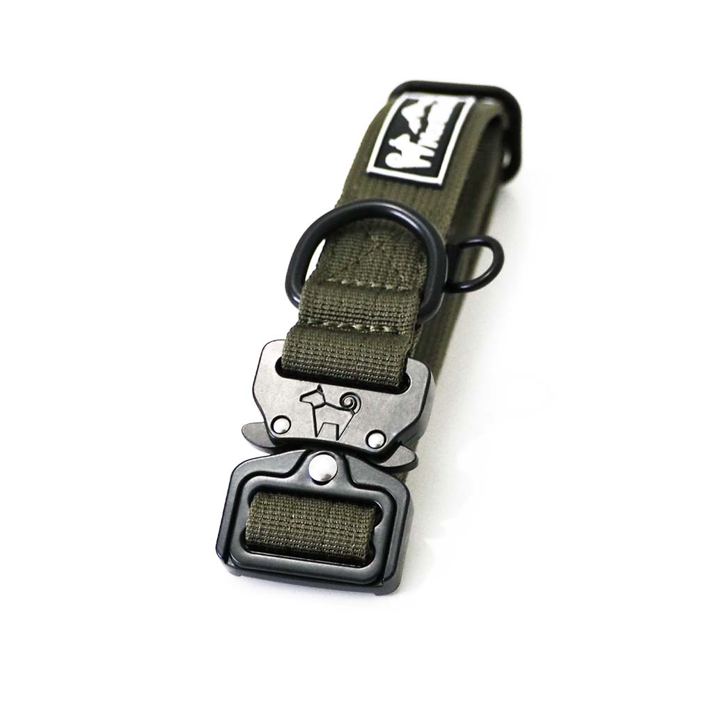 Cedar Green - 1" North Tail Collar