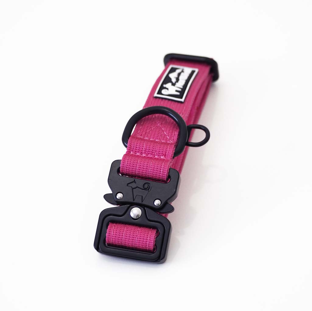 Cosmos Pink - 1" North Tail Collar