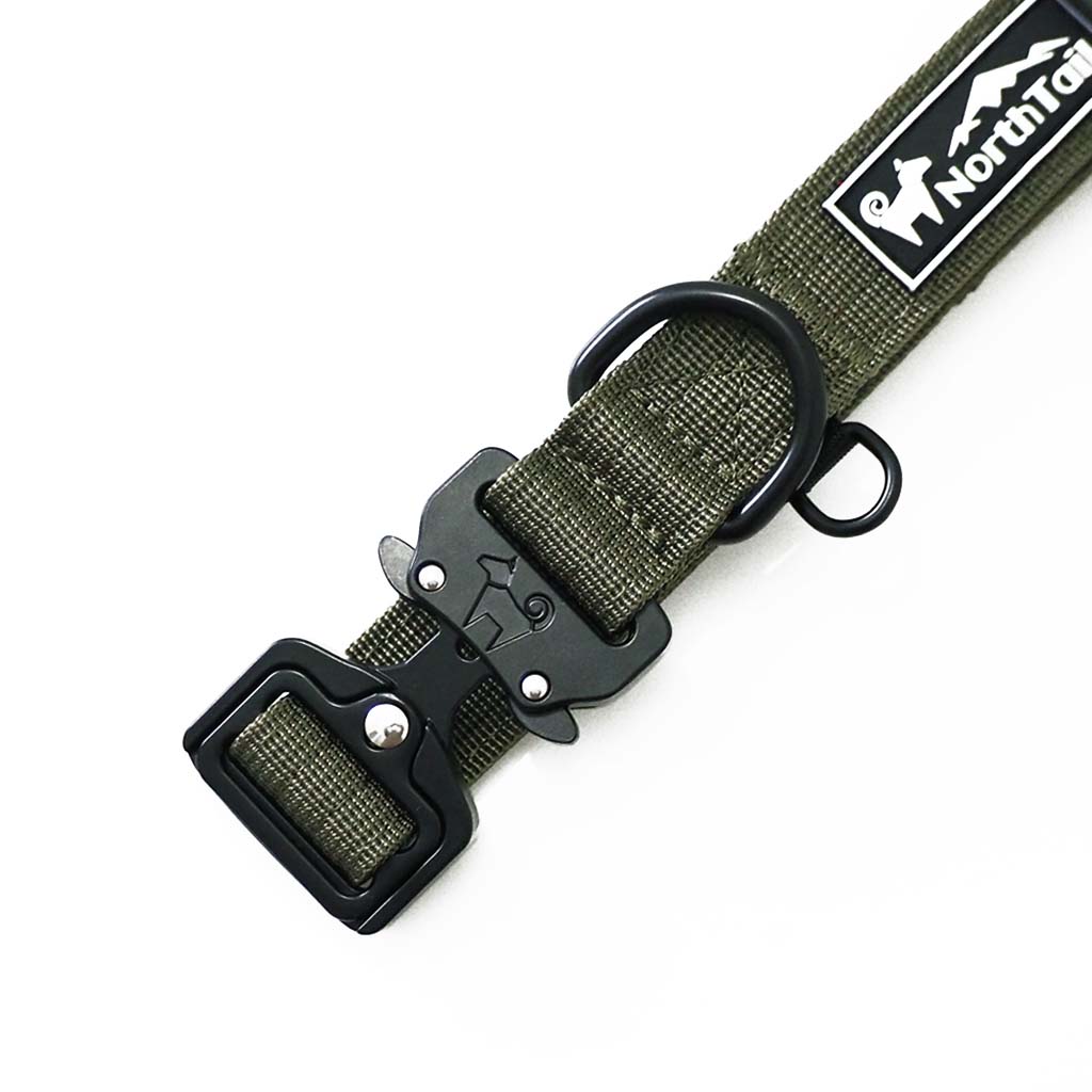 Cedar Green - 1" North Tail Collar