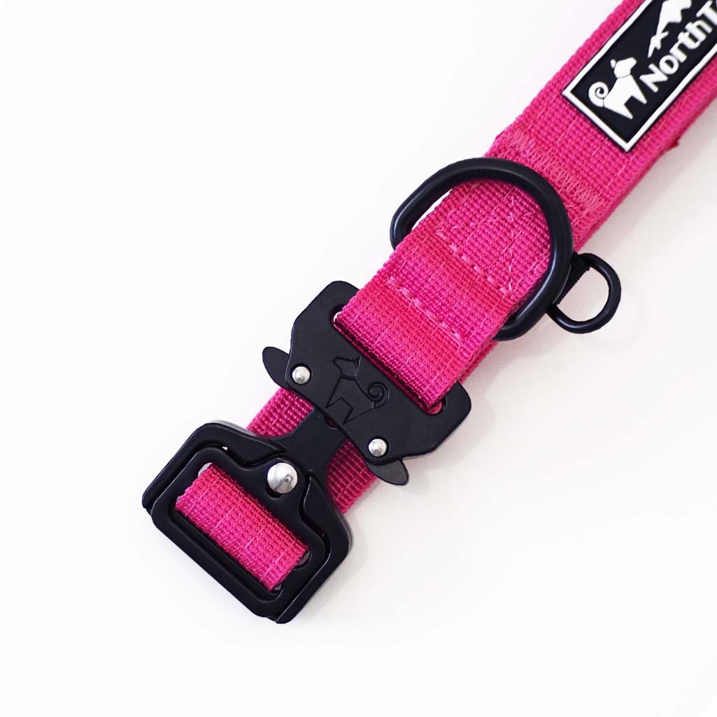 Cosmos Pink - 1" North Tail Collar