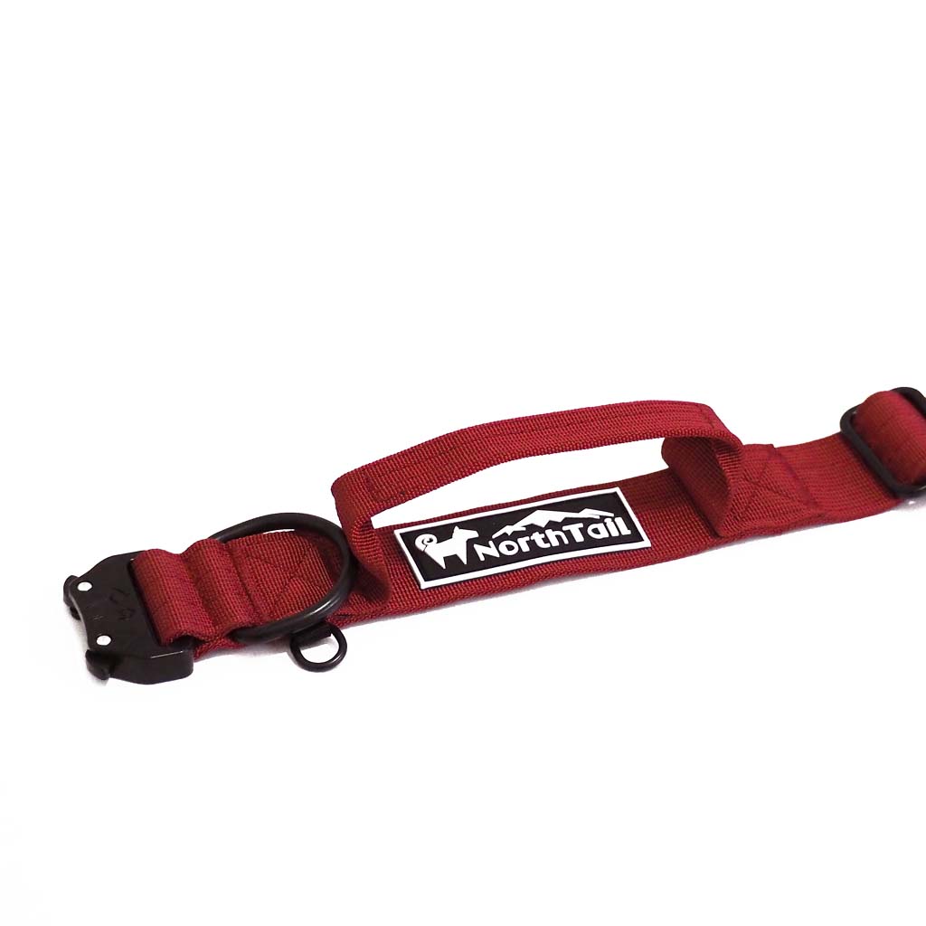 Red Maple - 1.5" North Tail Collar