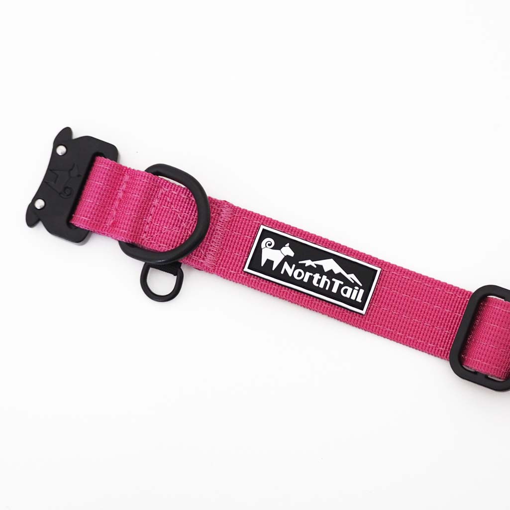 Cosmos Pink - 1" North Tail Collar