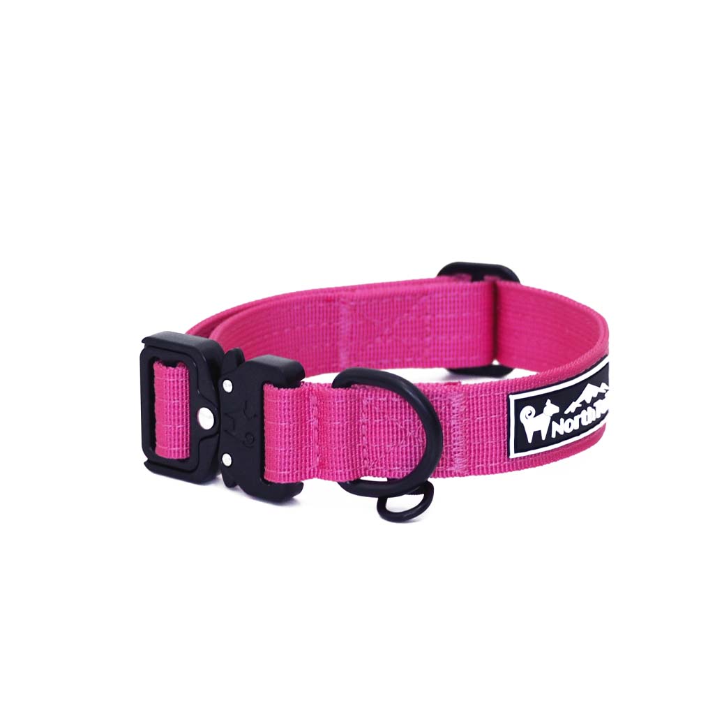 Cosmos Pink - 1" North Tail Collar