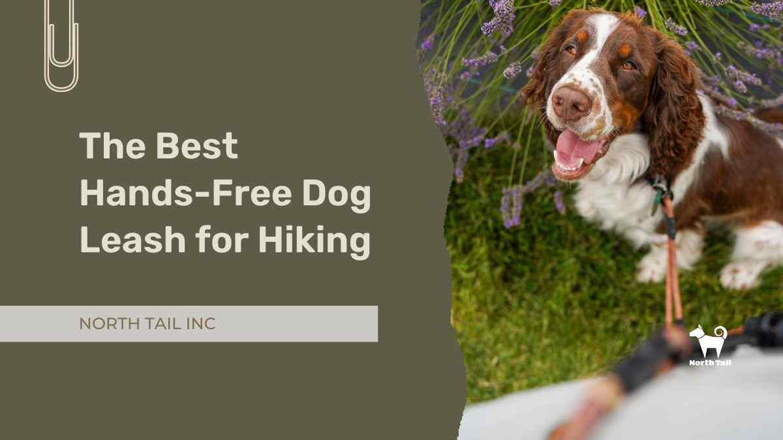 The Best Hands-Free Dog Leash for Hiking: Adventure Starts Here