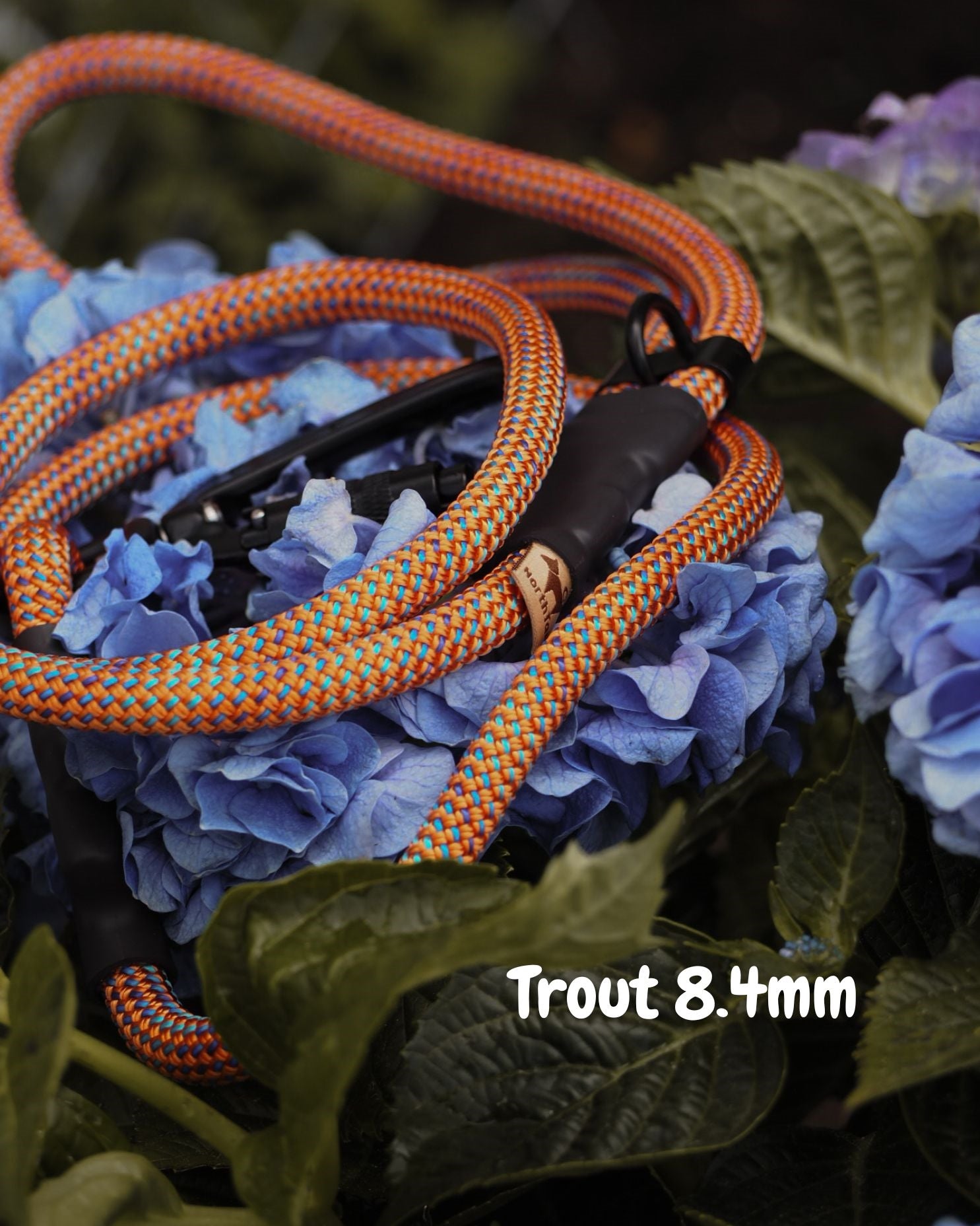 Trout 8.4mm climbing rope dog leash by North Tail — handmade in Ontario with genuine UIAA certified rope, featuring a unique pattern inspired by nature. Durable, secure, and perfect for daily walks and outdoor adventures.