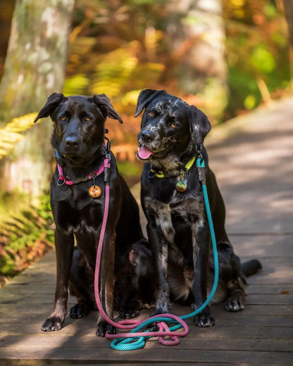 Non-climbing rope - The Sniff Walker North Tail Leash