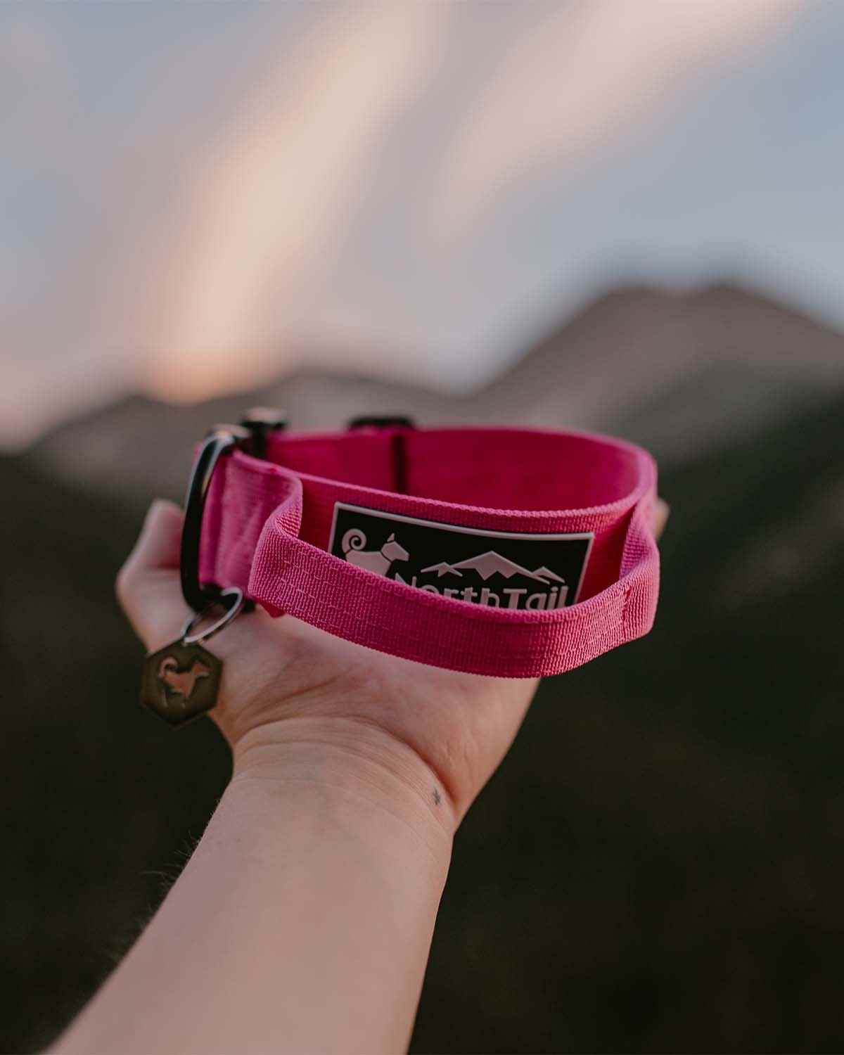 Pink patriots dog outlet collar