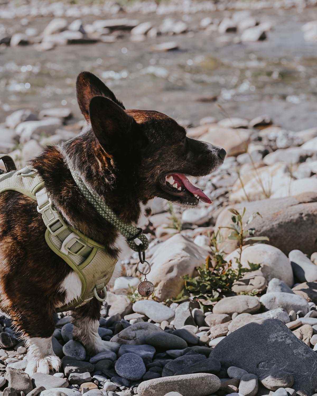 Non-climbing rope - The NT Slip Collar