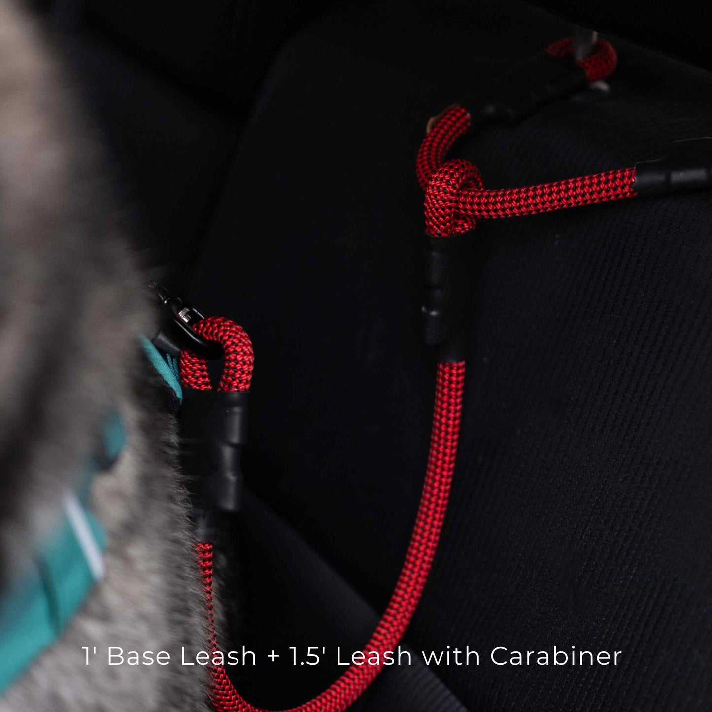 The NT Car Headrest Attachments