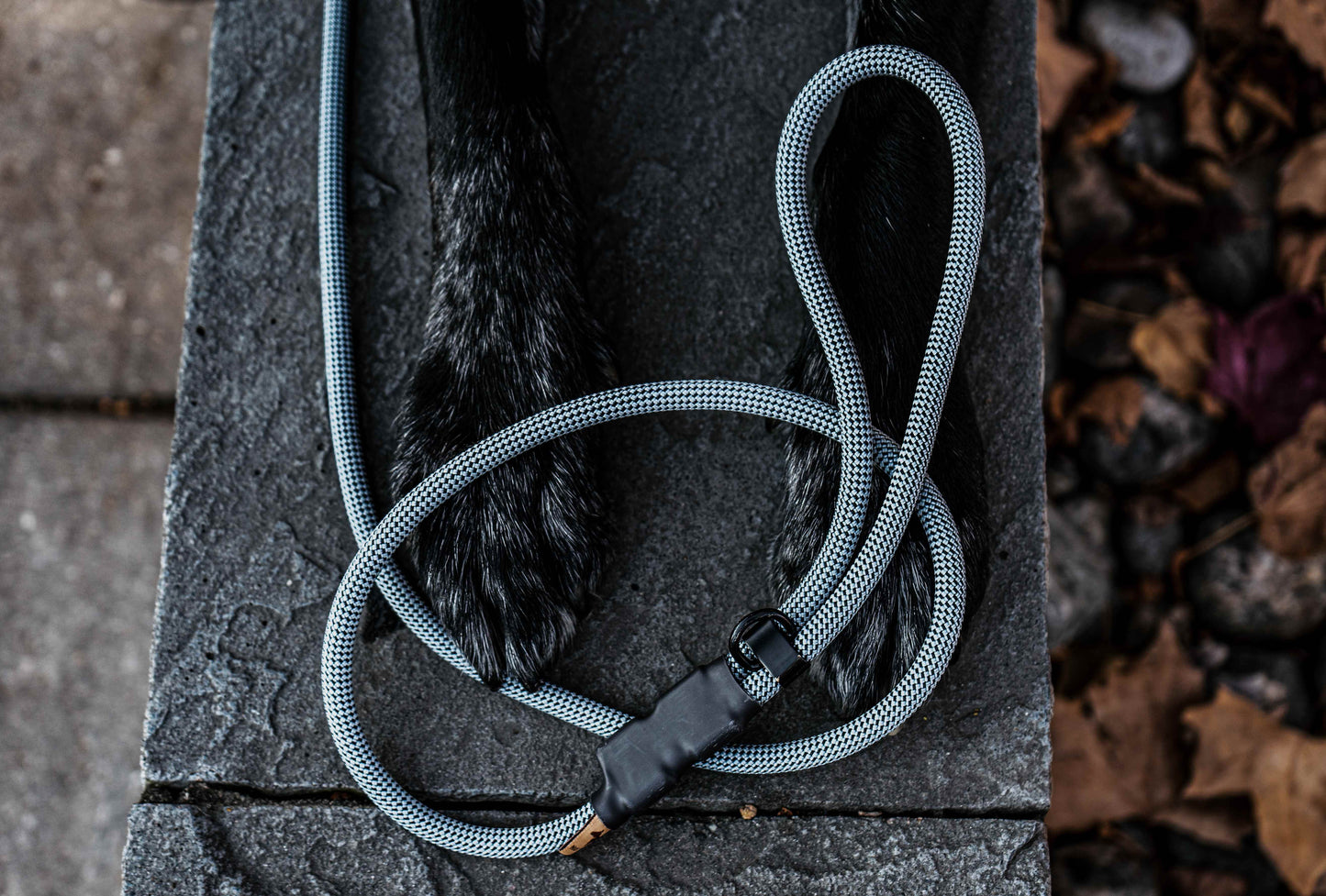 Non-climbing rope - The Sniff Walker North Tail Leash