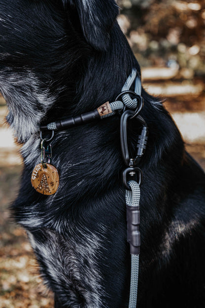 Non-climbing rope - The Sniff Walker North Tail Leash