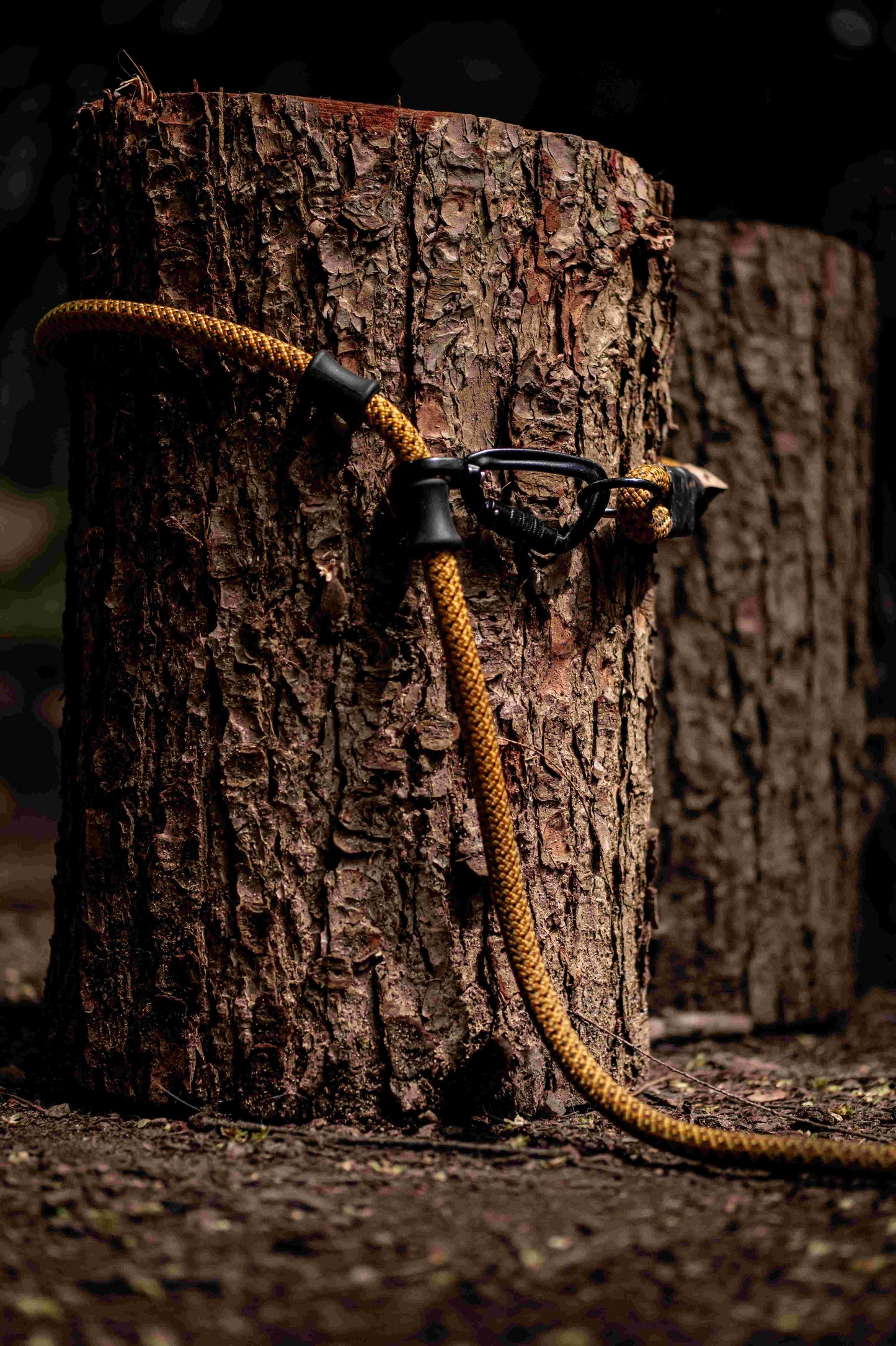 The Adjustable Hands-free Leash