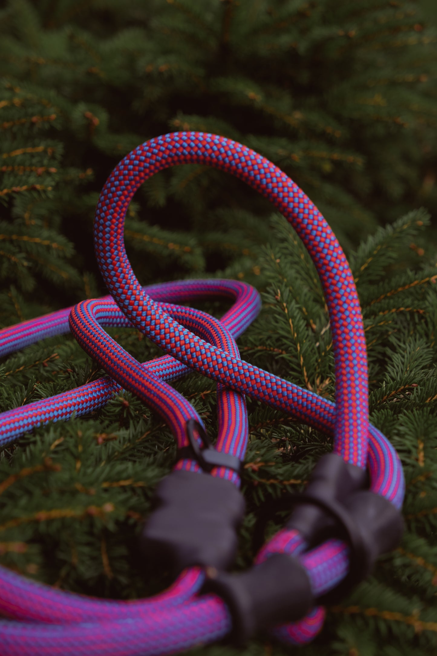 READY TO SHIP - The Summit Seeker North Tail Leash