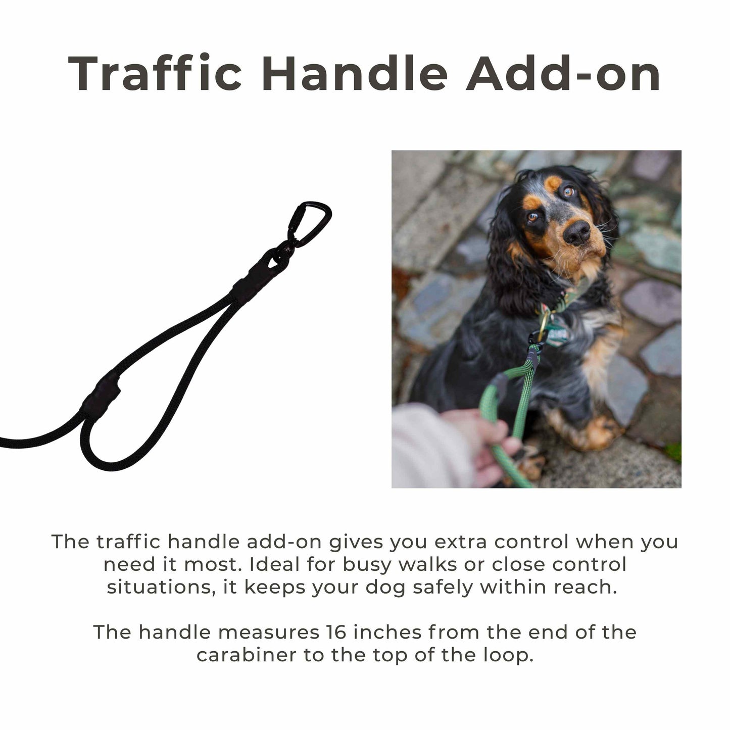 Branch | Double Dog Leash