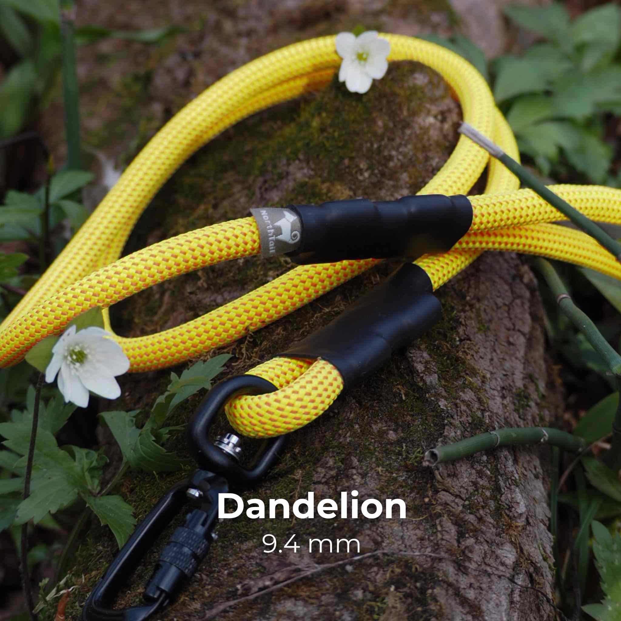 ☆ TLS LEASH 767 leather_police_leash_main.jpg?