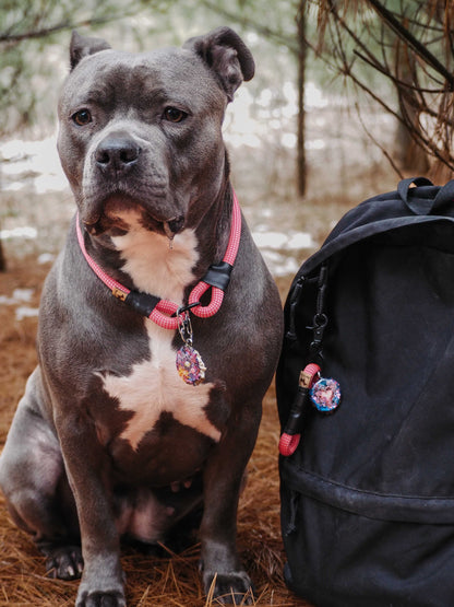 The Trail Ranger Rope ID Collar